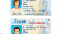 !State Of Texas Identification Card: Sample Information Layout