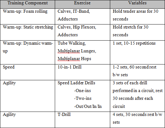 speed-and-agility-training-program-template