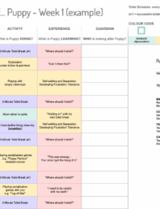 training-program-dog-training-plan-template