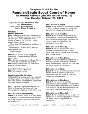 troop-court-of-honor-program-template