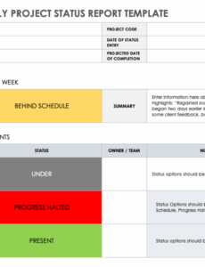 weekly-program-status-report-template